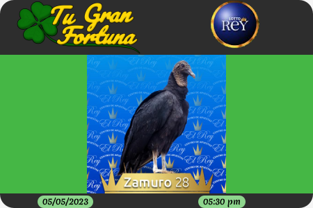 TuGranFortuna's tweet photo. #Tufortuna #TuGranFortuna #Loteria #Animalitos #Lotto_Rey #LottoRey
#Resultado: Lotto Rey 05/05/2023 05:30 PM https://t.co/v4xbY7j0aZ