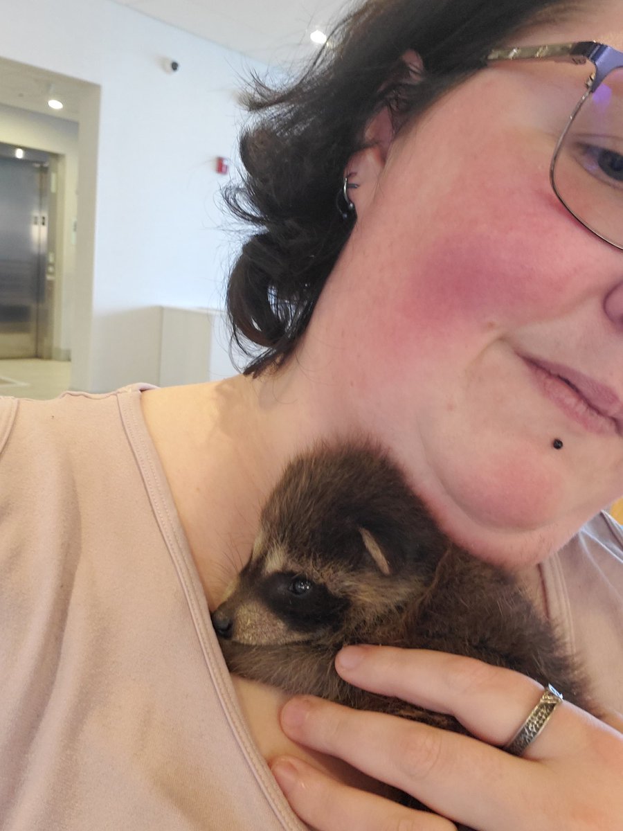 WriterJackieS's tweet photo. I made a new friend https://t.co/Nt3OE1twVM