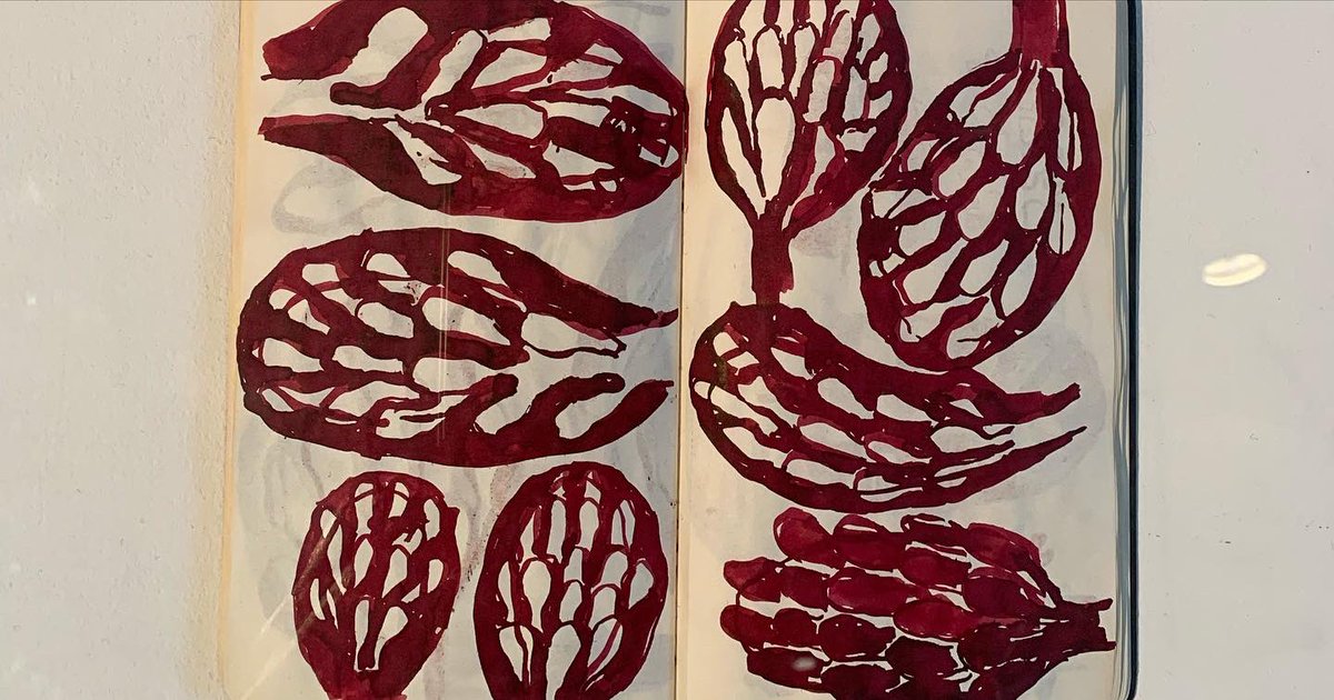Jeanette Orrell

Sketchbook at Ruthin Craft Centre as part of Drawing on Indigo exhibition to 02/07/2023

#sketchbook #indigo #plantdrawing #artistontwittter