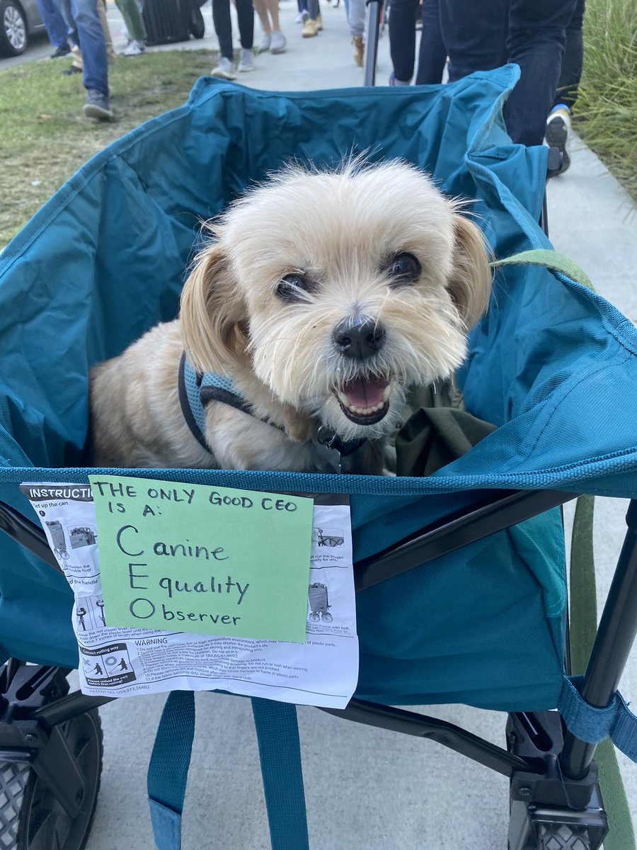 Naomi Ekperigin tweet media