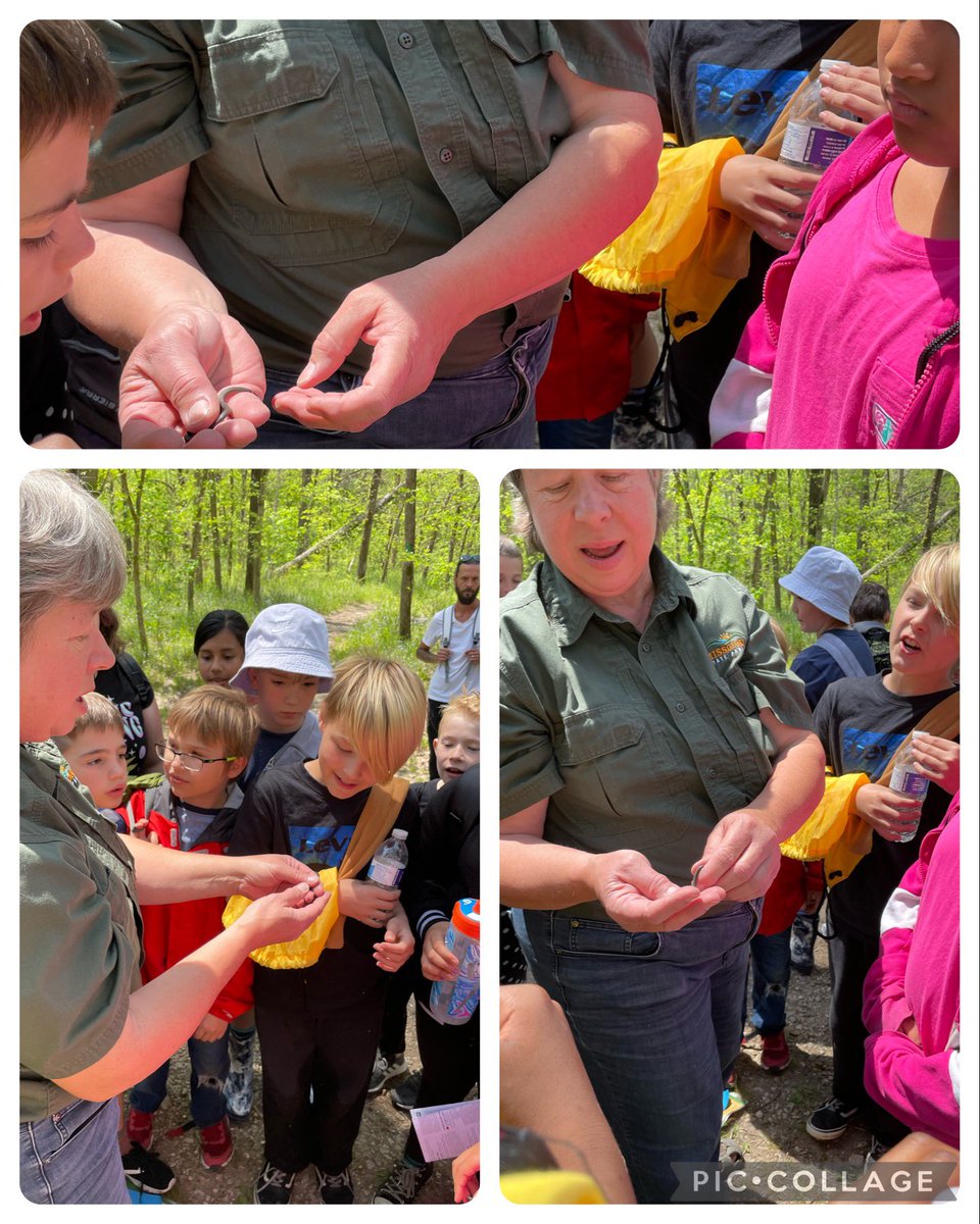 Shaun Smith tweet media