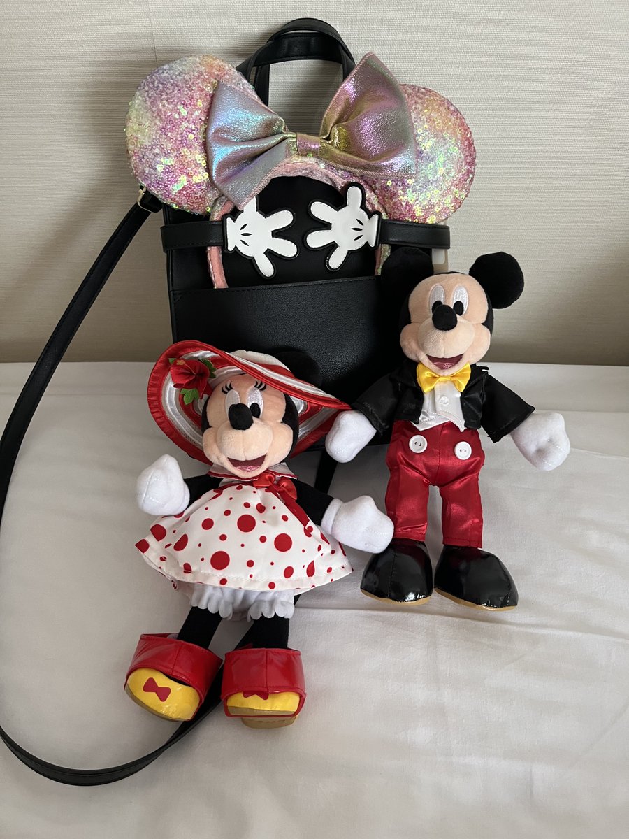 yothuya3's tweet photo. 一昨日ボルケに並んでいるとき、後ろの若い娘さんとお母さんという感じの親子連れさんに、bagどこのですか？かわいい！まだ売ってますか？って聞かれた〜　#Areem  #あいにゃん　#ディズニーシー　#40周年 https://t.co/PEVF5v1eqs