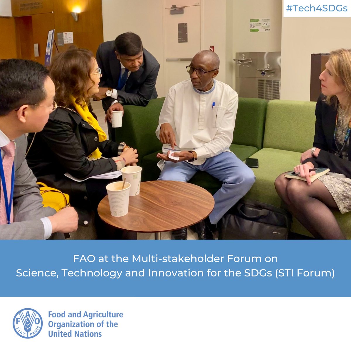 FAO in New York tweet media