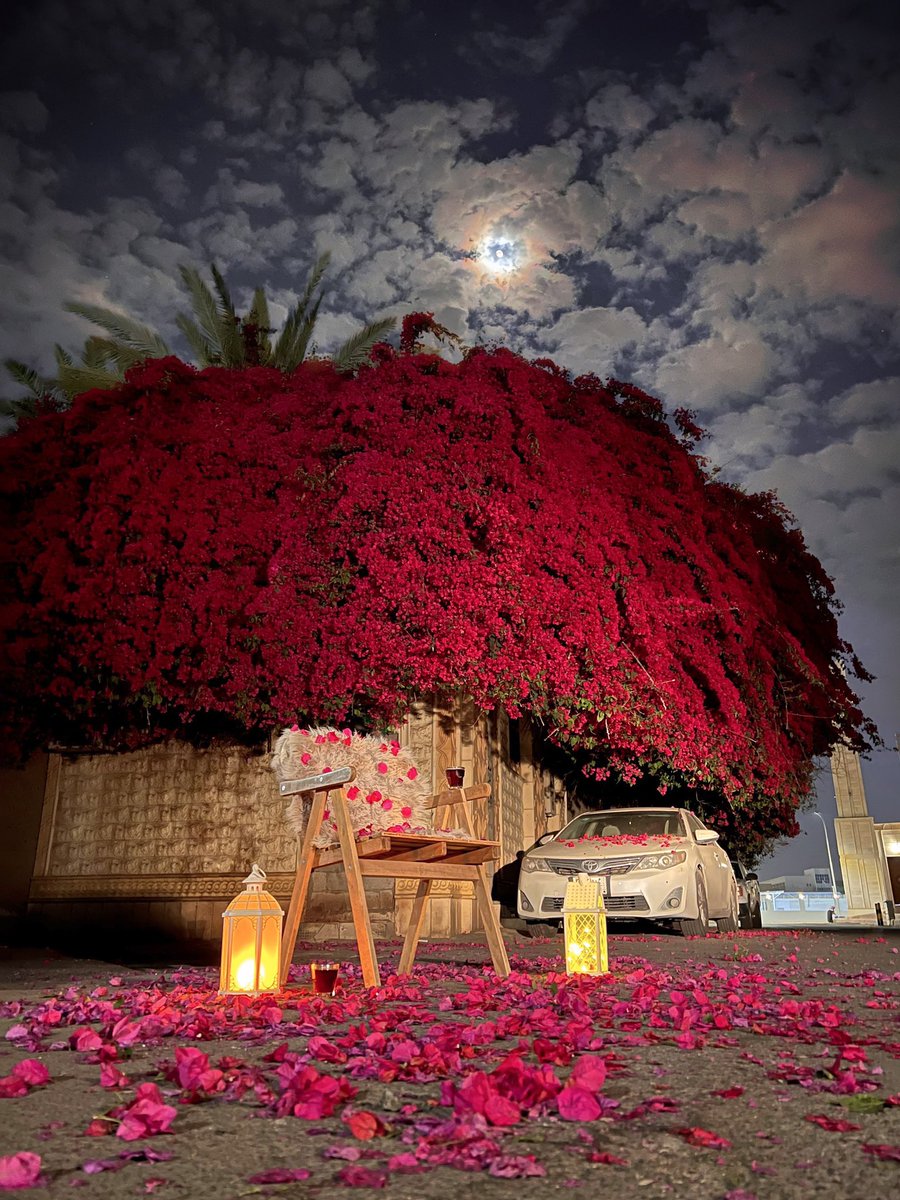 Arabbeau's tweet photo. flowers and moon https://t.co/zrCnqgI7Mm