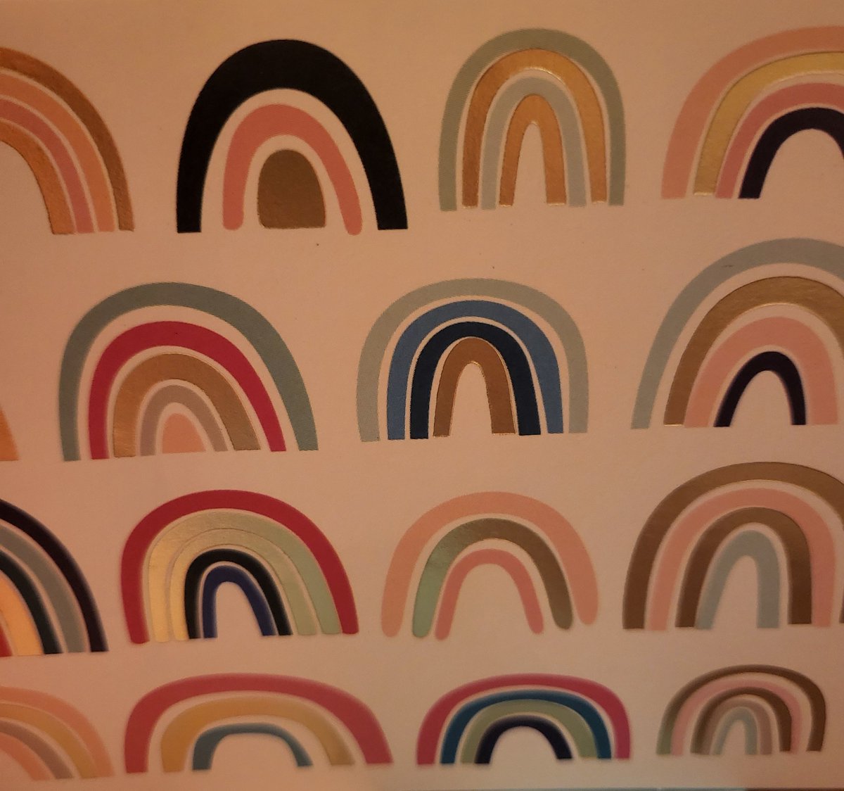 Lisa Robol tweet media