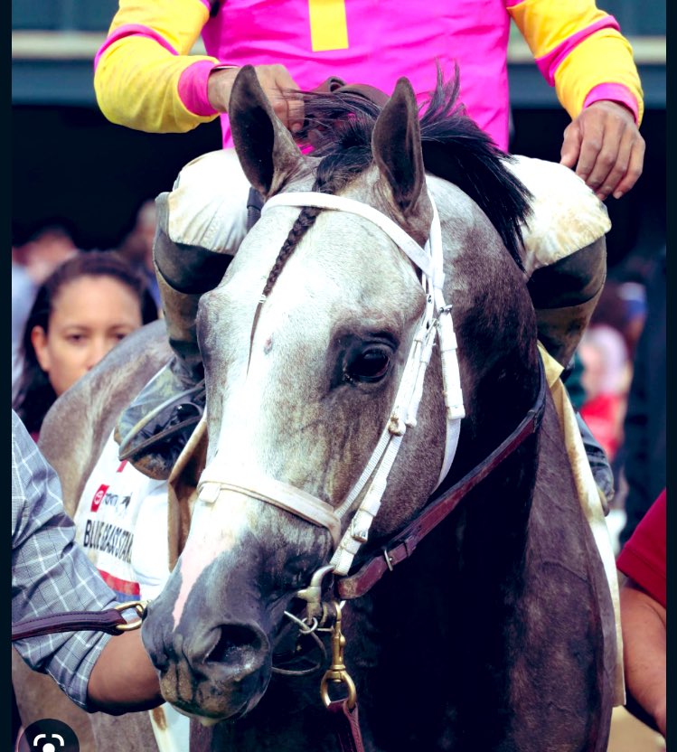 Hopie_Dopiee43's tweet image. Bill n I will take #tapittrice !! 🐎 🐴 🐎