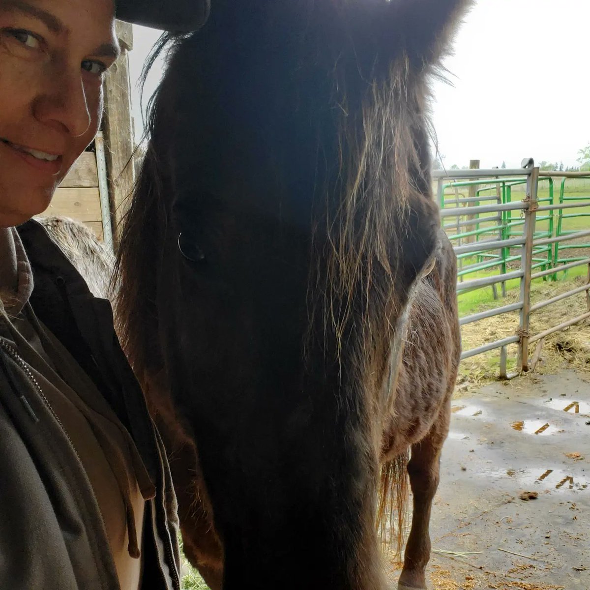 Why we do what we do

#animalrescue #horse  #horses #horserescue #rescuehorse