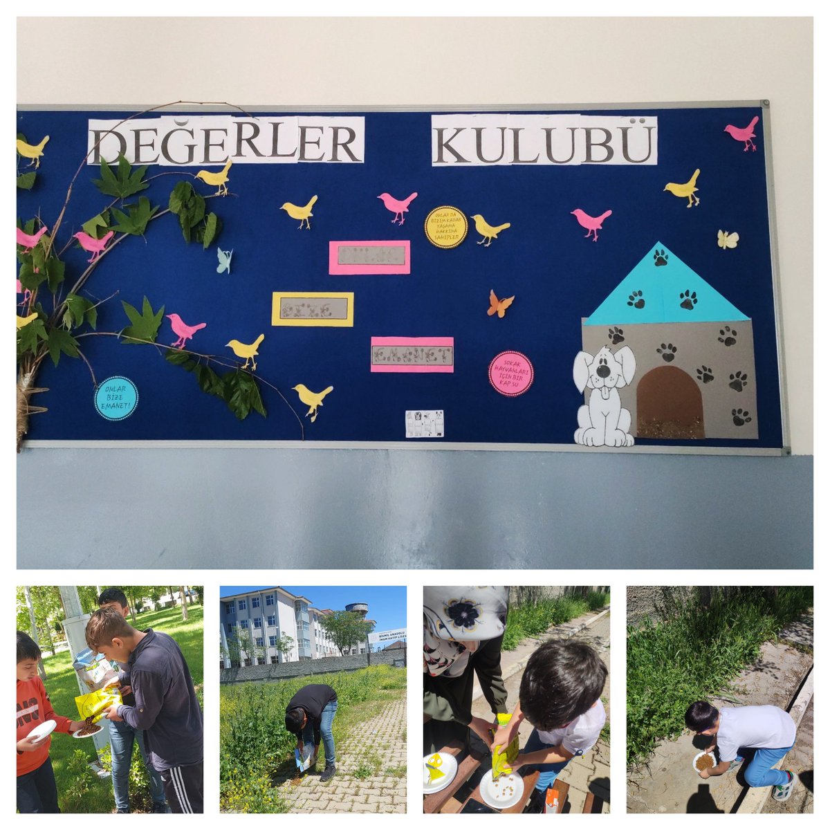 En küçüğünden en büyüğüne kadar her hayvan,Allah'ın eseri olarak değerlidir ve O'nun tarafından insana emanet edilmiştir.'ÇEDES'projesinde öğrencilerimiz;sokak hayvanlarına sahip çıkmak adına  parklara ve yol kıyılarına mama ve Su kapları bırakmak suretiyle örneklik sergilediler.