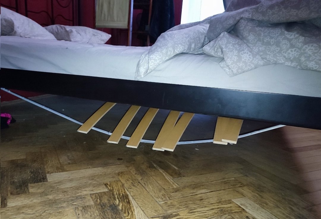 PerritoUna's tweet photo. Como le explico a mis padres que he roto la cama haciendo un trio? https://t.co/hVyDf431HQ