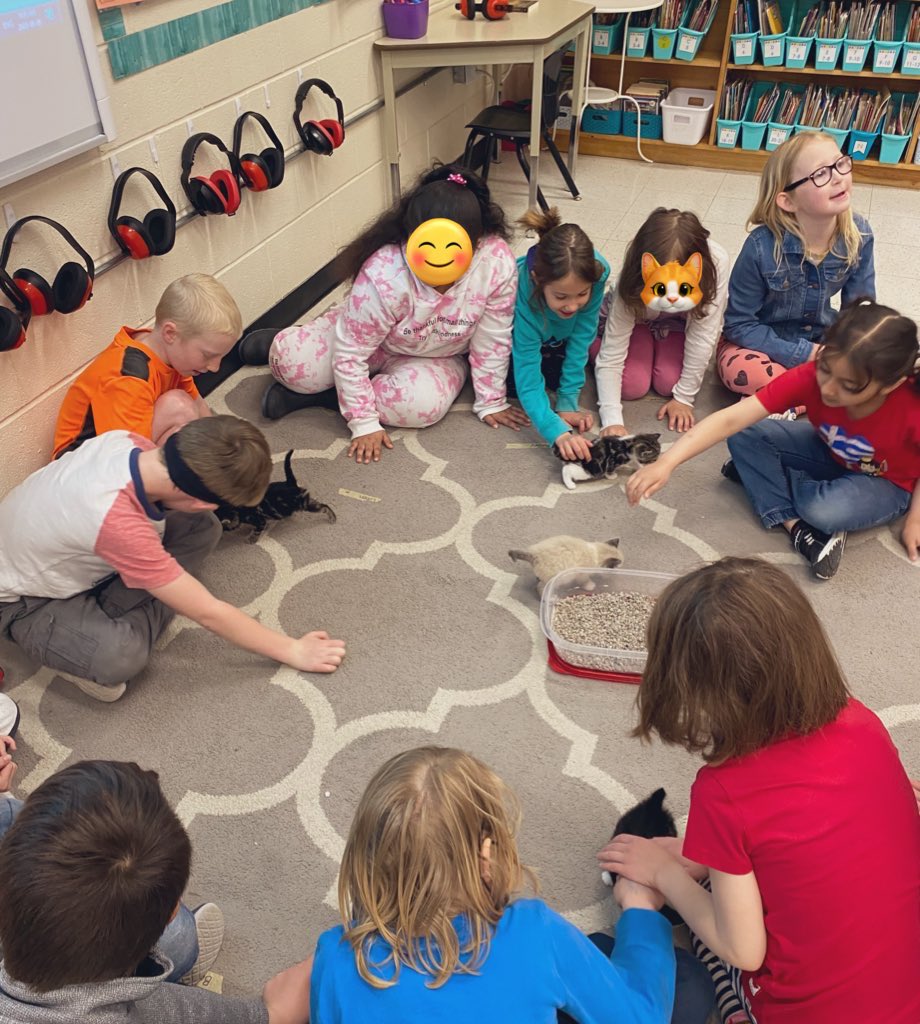 MsPenny14's tweet photo. The Gr. 1/2s had a visit from some furry friends this morning😻💕 https://t.co/SnESEu6YRa