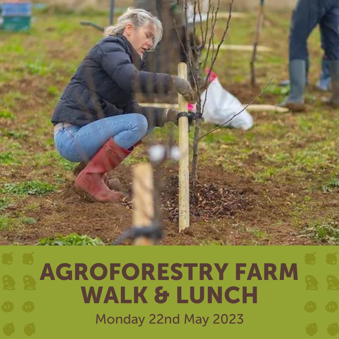 RealFarmED's tweet photo. As part of the Agroforestry Open Weekend 2023 we are running a taster event on Monday May 22nd to show the benefits and challenges of #agroforestry and what we are doing at FarmED.
@AFOpenWeekend
#treesonfarms #agroforestry #silvopasture #silvoarable #agroecology #regen https://t.co/UMzUfERBg4