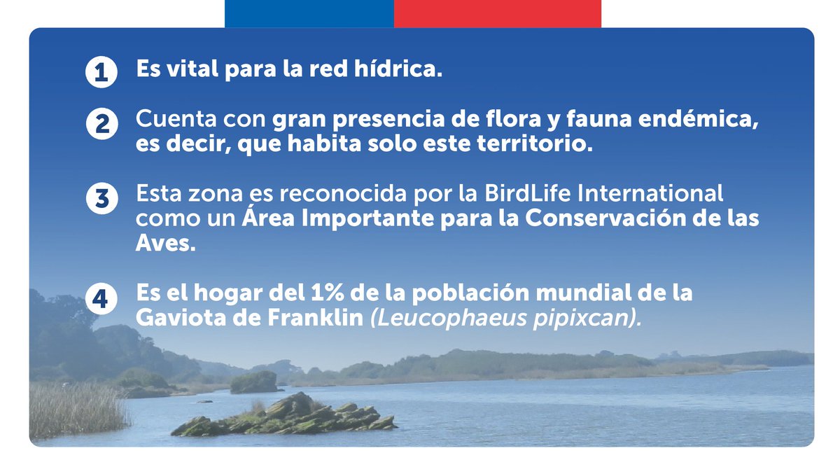 GobiernodeChile's tweet image. Esta iniciativa se suma al reciente anuncio de dos nuevos humedales urbanos para el #GranConcepción: Humedal Price y Humedal Paicaví. 🌱