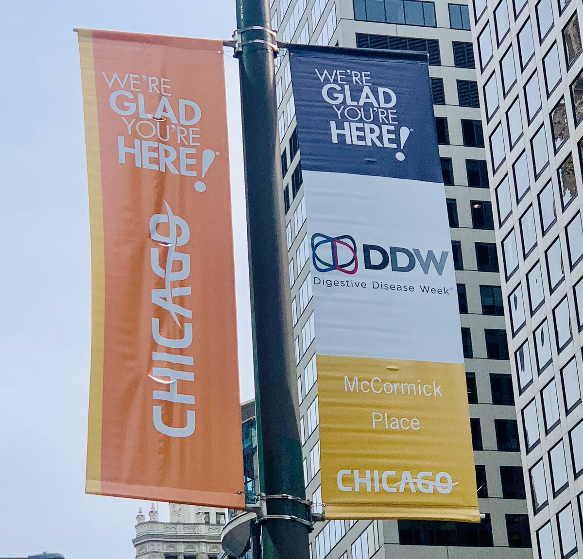 NeeraGuptaMD's tweet photo. Beautiful weather in Chicago for #DDW2023‼️ #PGDB @AmerGastroAssn @DDWMeeting https://t.co/NIJSpkkCQt