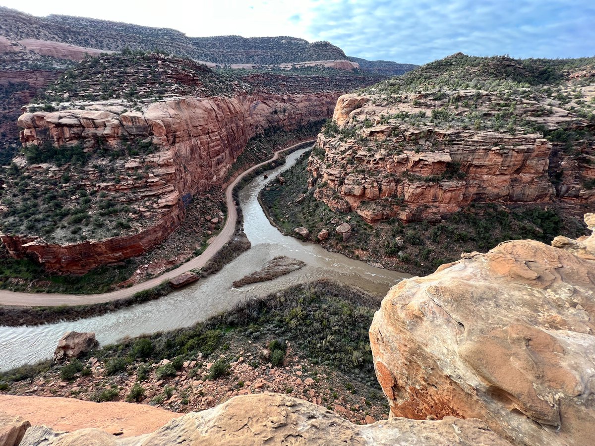 CO_wildlands's tweet photo. TGIF! River confluences are magical places. The union of the Dolores River and San Miguel rivers sits within a steep canyon of Wingate sandstone on the West End of #MontroseCounty. 

#ProtecttheDolores #BLMwildlands #wilderness #wildlands #DoloresRiver  #westslopebestslope https://t.co/ksNas4Gg3W