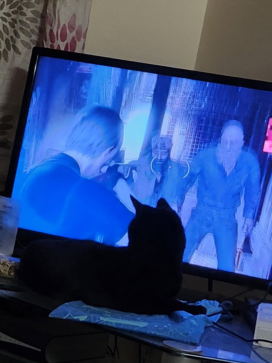 ThiefyThief's tweet photo. He littraly went to watch a bit of the Lets Play by @Jacksepticeye, before comeing back to lay with me xD dunno what to make of that lol 

#caturday #blackcatday #letsplay #resievil4 #jacksepticeyeletsplay https://t.co/n3kYOMSwX2