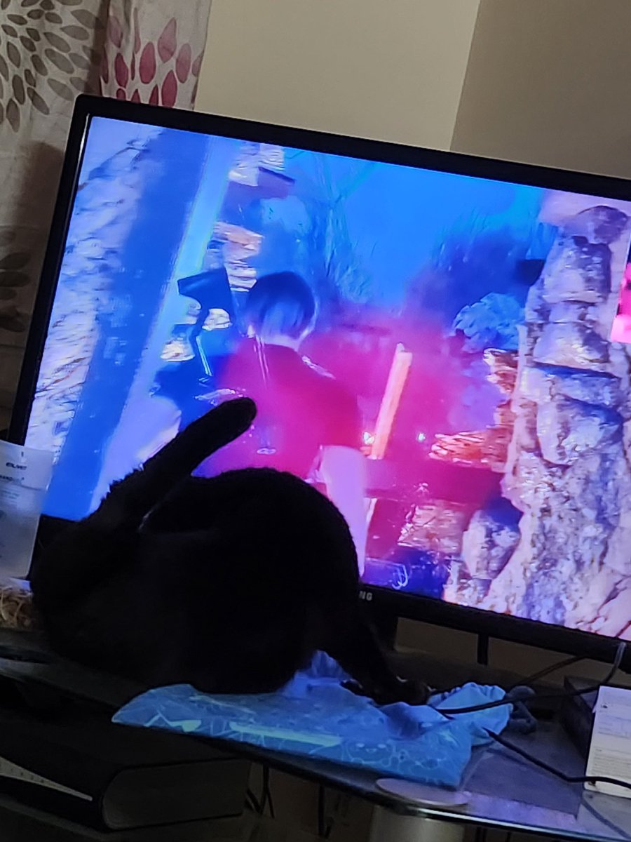 ThiefyThief's tweet photo. He littraly went to watch a bit of the Lets Play by @Jacksepticeye, before comeing back to lay with me xD dunno what to make of that lol 

#caturday #blackcatday #letsplay #resievil4 #jacksepticeyeletsplay https://t.co/n3kYOMSwX2