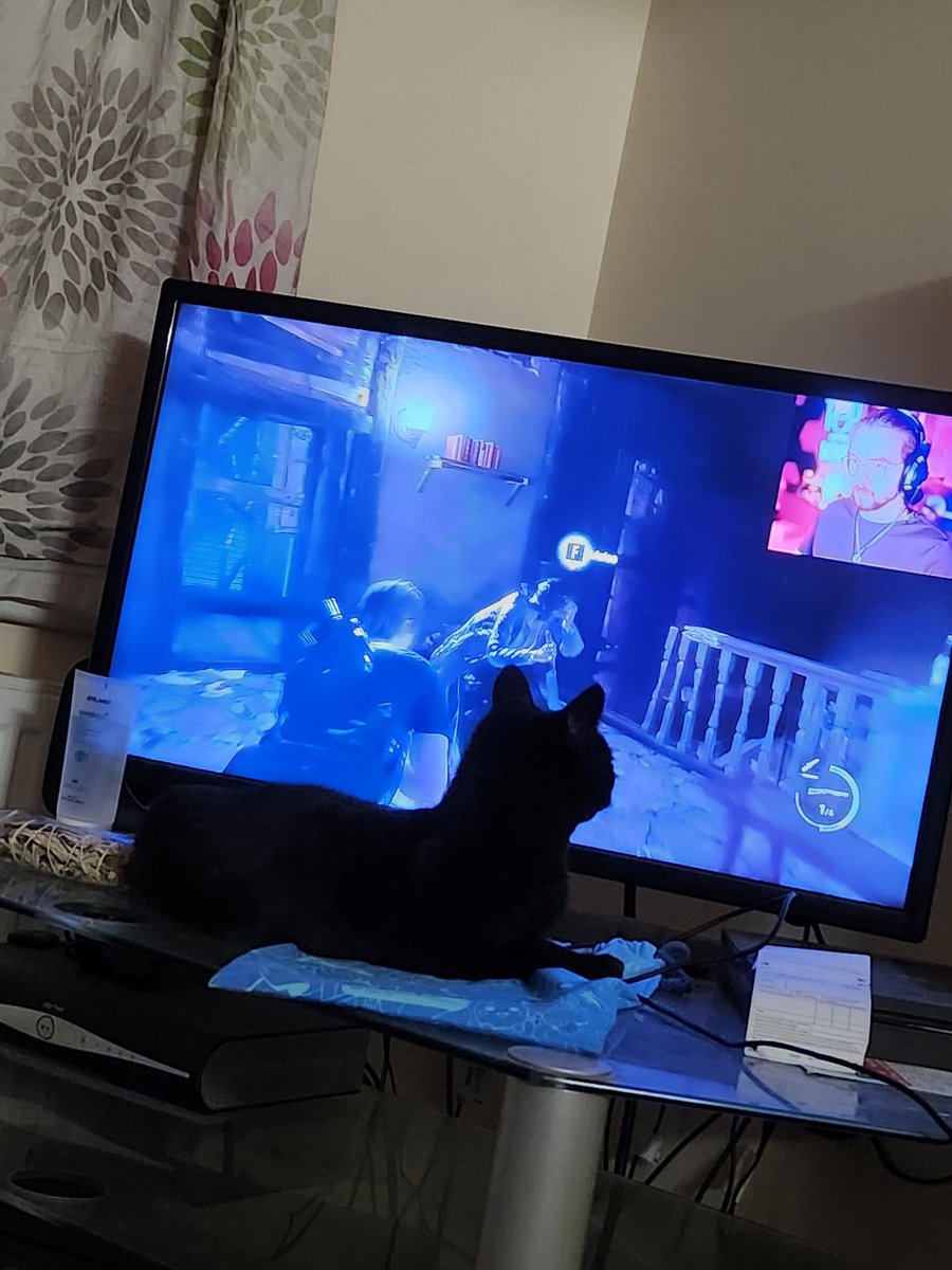 ThiefyThief's tweet photo. He littraly went to watch a bit of the Lets Play by @Jacksepticeye, before comeing back to lay with me xD dunno what to make of that lol 

#caturday #blackcatday #letsplay #resievil4 #jacksepticeyeletsplay https://t.co/n3kYOMSwX2