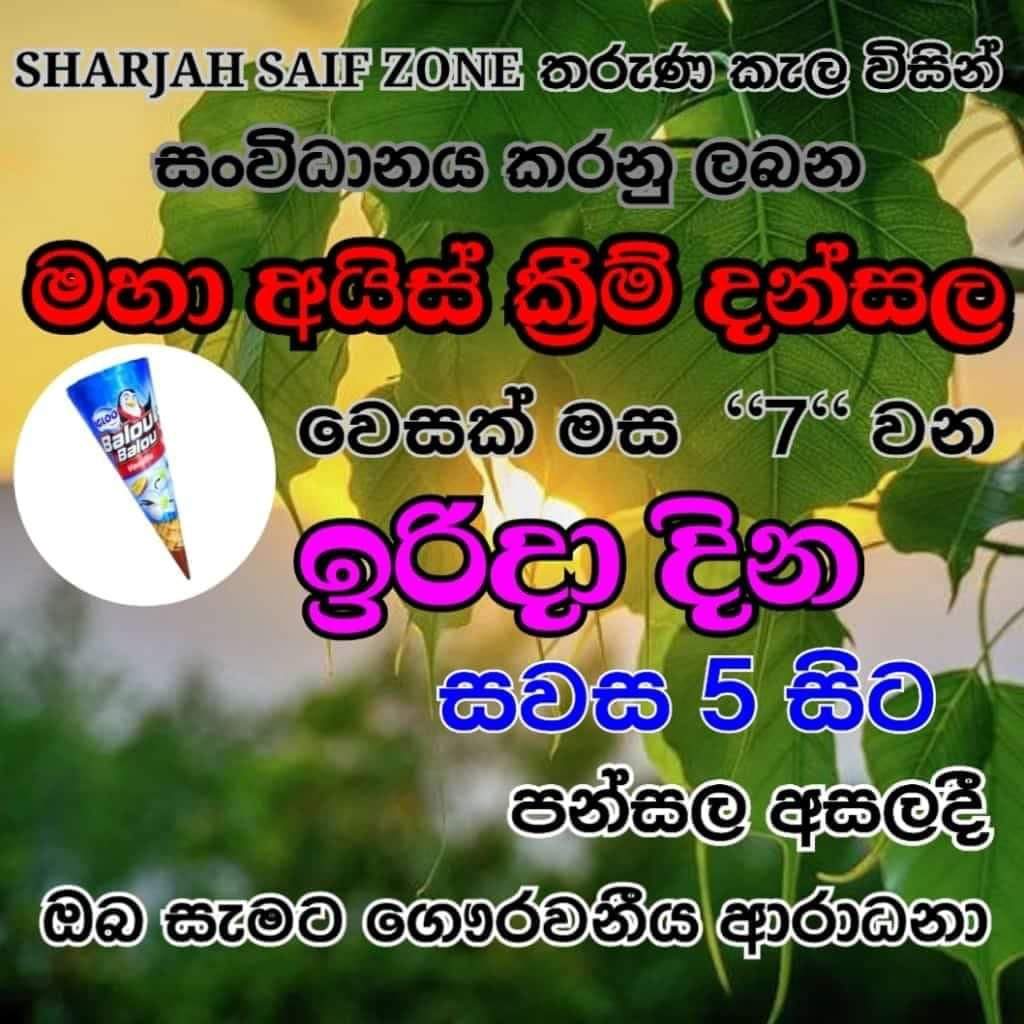 සලලෙමයිලා හුළංකීරි 🧚 tweet media
