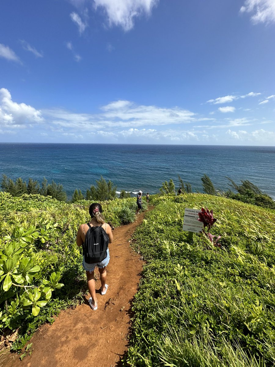 Been away from Web3 this week. Miss all of you. We been touching grass 🤙🏝️

Kaua’i, HI 📍