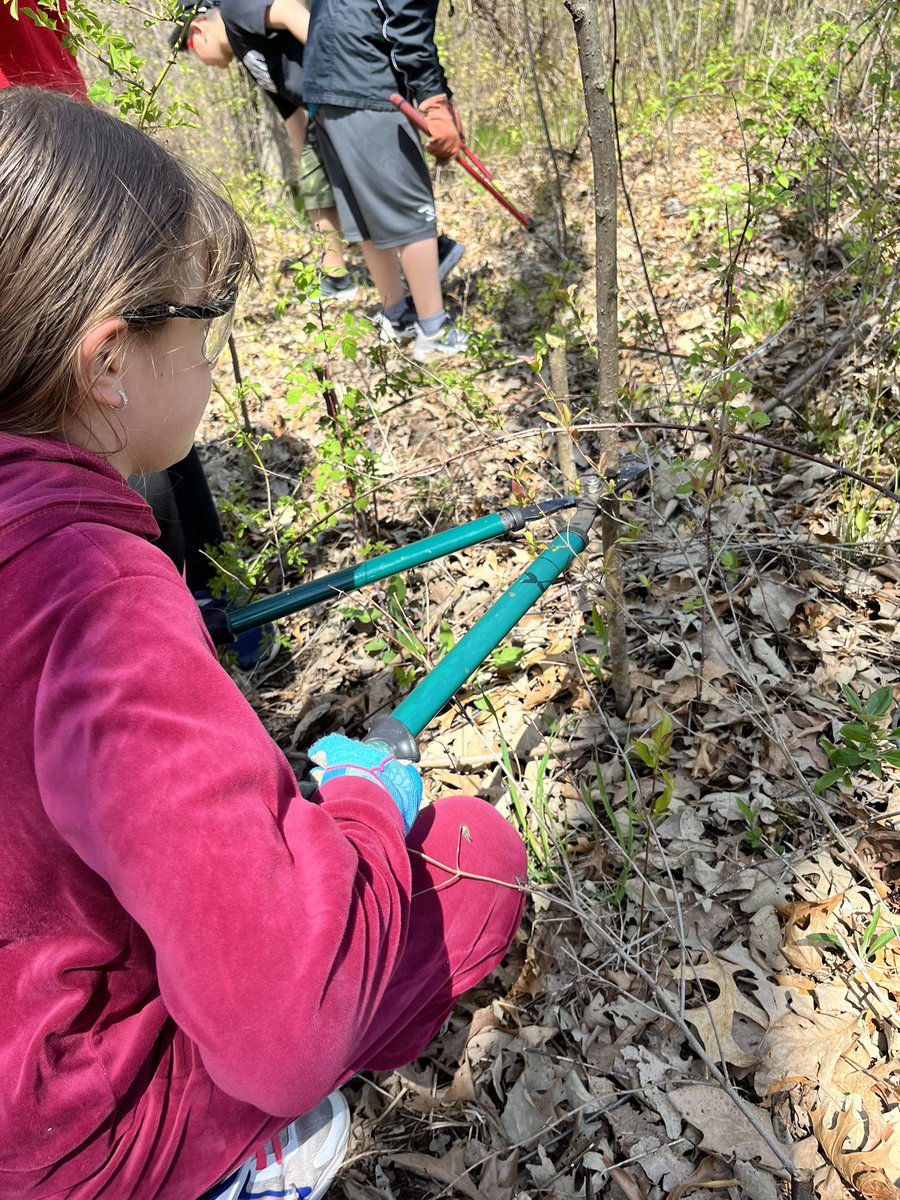ELforestfriends's tweet photo. Beautiful day to learn about and explore Glacial Park. #pvlearns @DiscoverMCCD https://t.co/zGKcv9zIFK