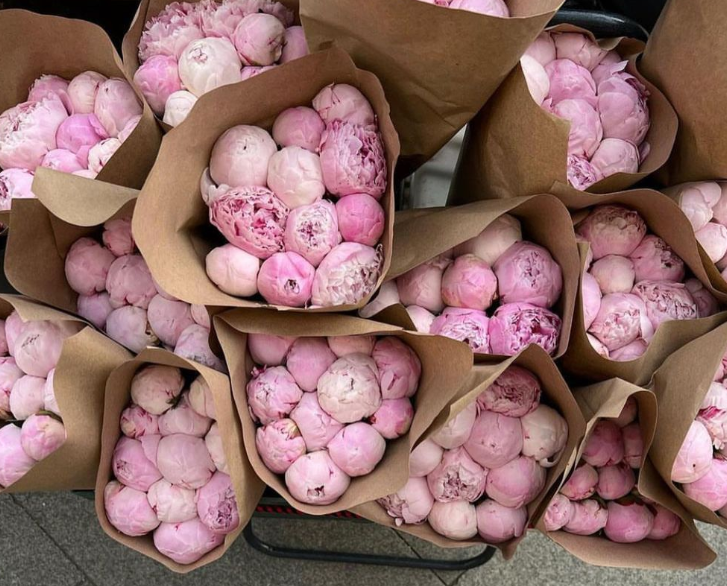 No way to celebrate the weekend than with peonies! ✨💗
