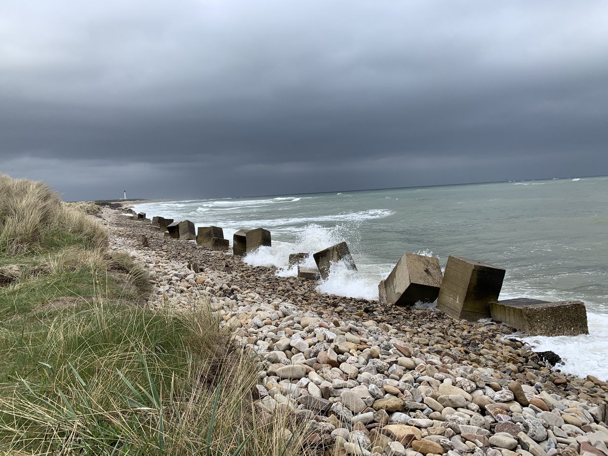 Enjoyable walks in beautiful #GlenRhinnes and #Lossiemouth - Daisy &amp; Maggie found every water source available #Scotland