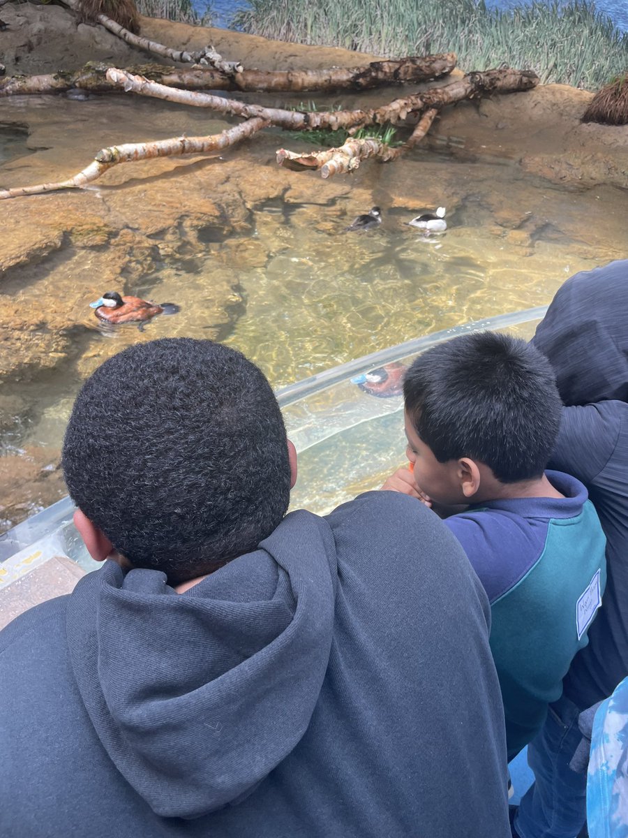 Ashley Hollander tweet media