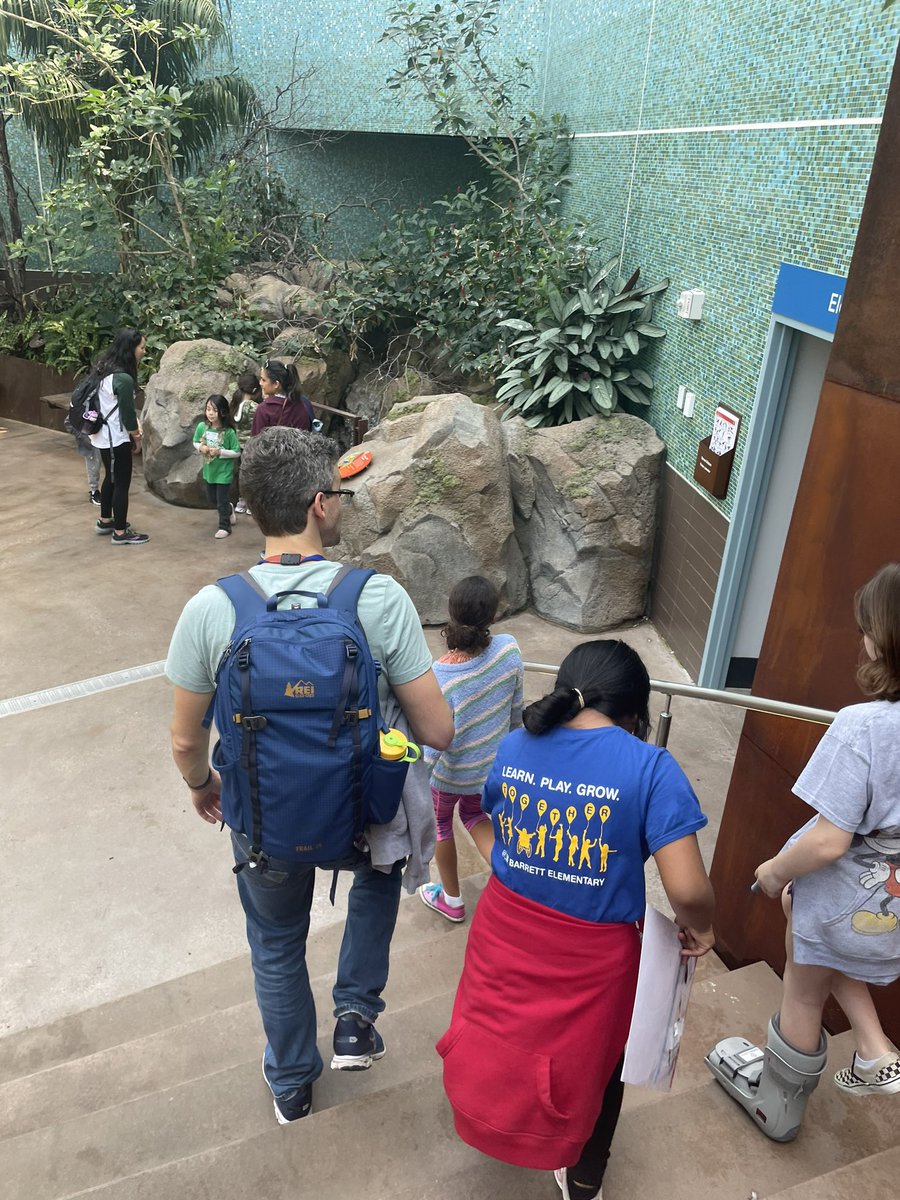 Ashley Hollander tweet media