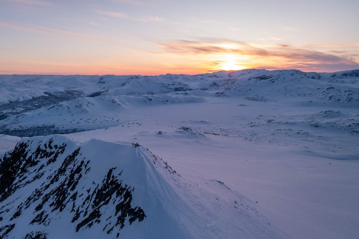 Steinar Bleken tweet media