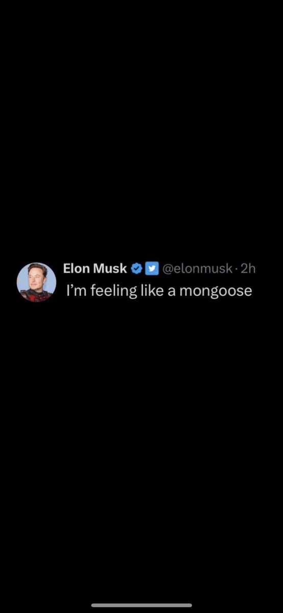 Elon in the $mong mob