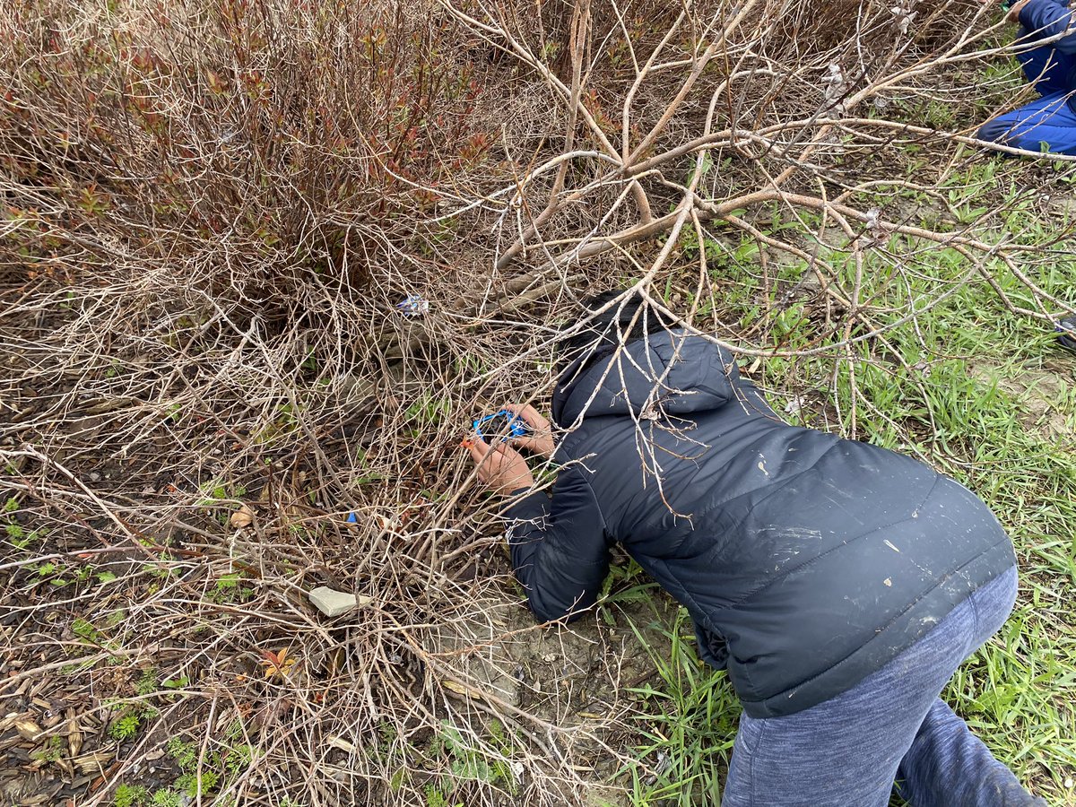 6-2 loved participating in the <a href="/focusonnatureca/">Focus on Nature</a> workshop this week! A little ☔️ didn’t stop these budding photographers! 📸🌳🐌🍃
