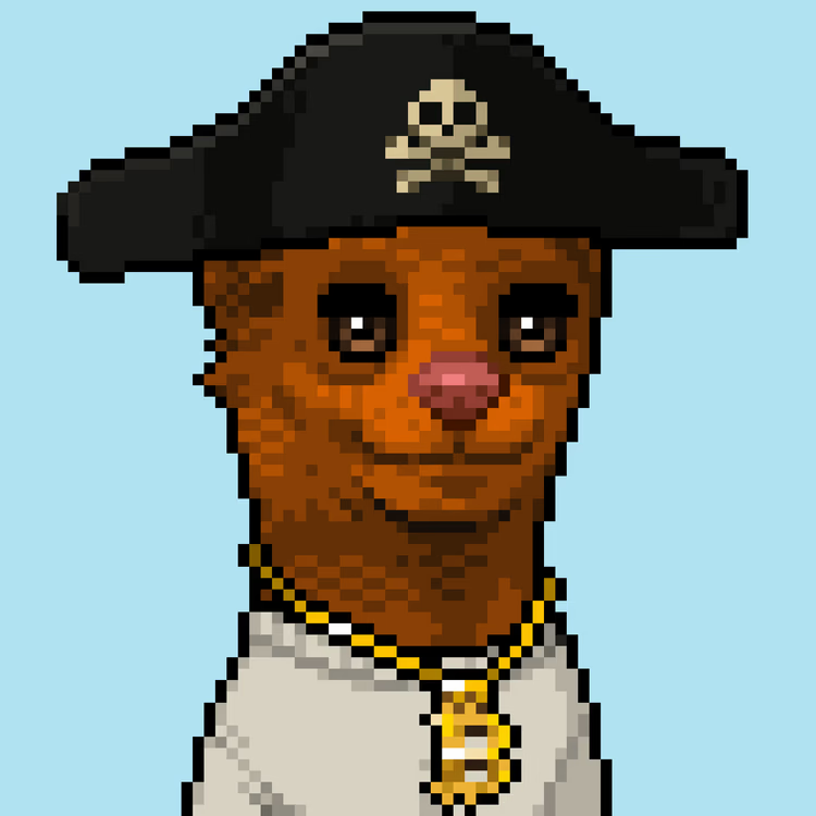 MONG COIN tweet media