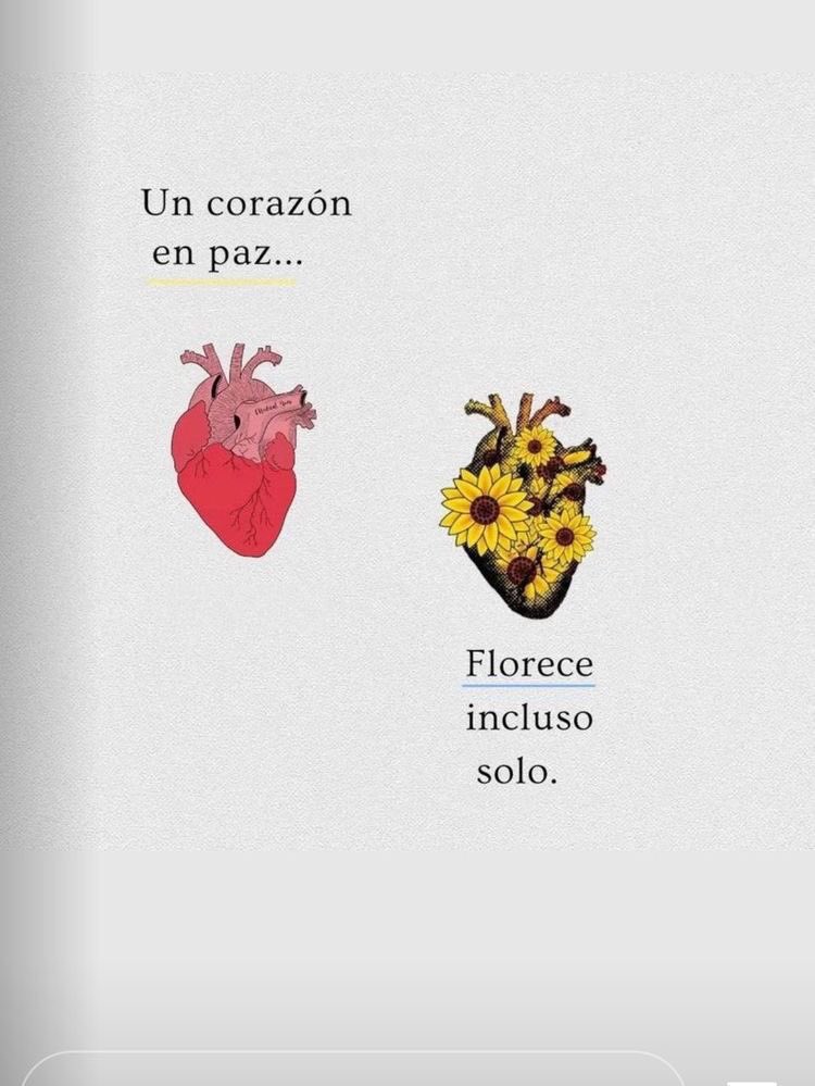 Cultura Literal (@culturaliteral1) on Twitter photo 