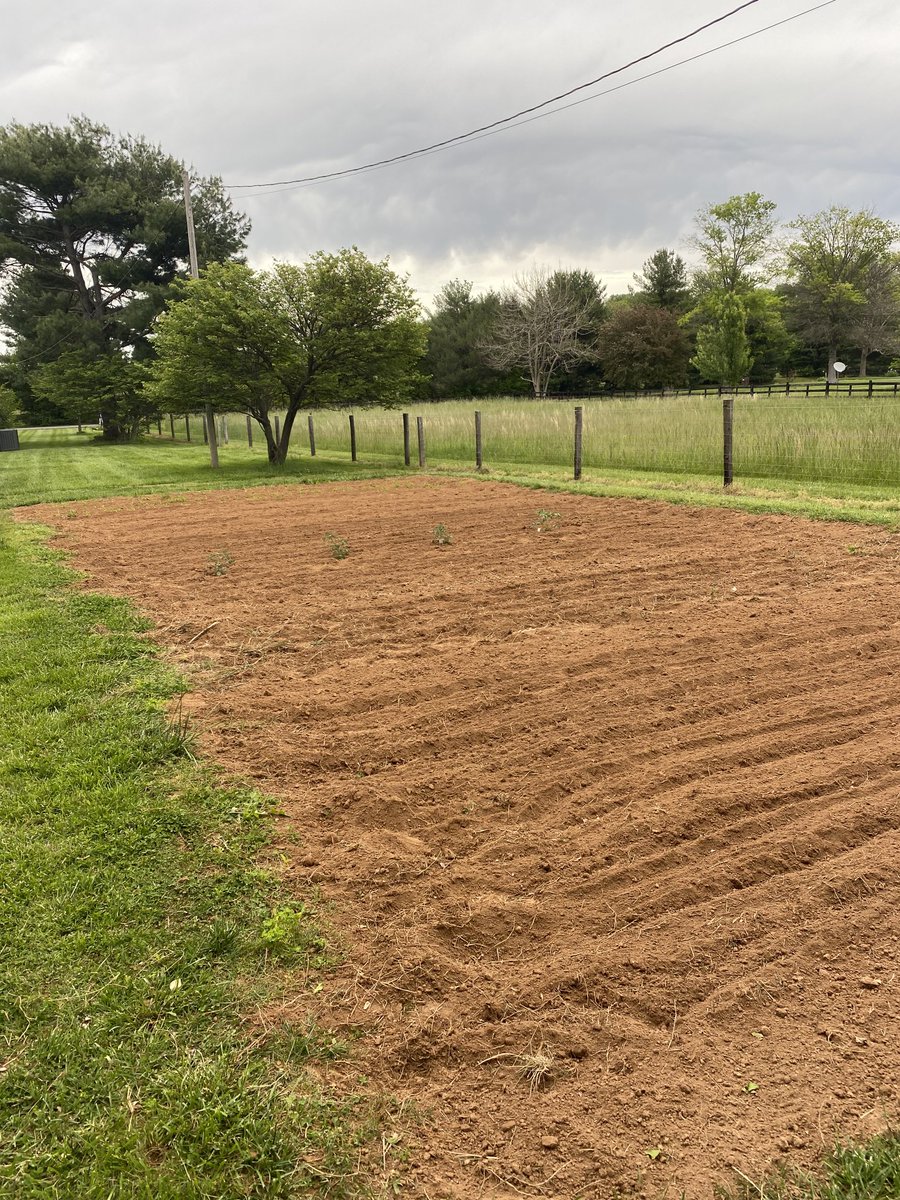 Jeffprice5906's tweet photo. #garden2023 part of the #corn is up #tomatoes are growing #greenbeans #limabeans #squash #zuchinni #pollinatorflowers #bunchingonions itโs all a waiting and watering game now https://t.co/hKPLlkFakP