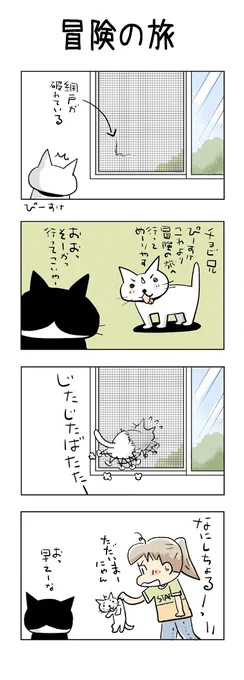 冒険の旅 #こんなん描いてます #自作まんが #漫画 #猫まんが #4コママンガ #NEKO3