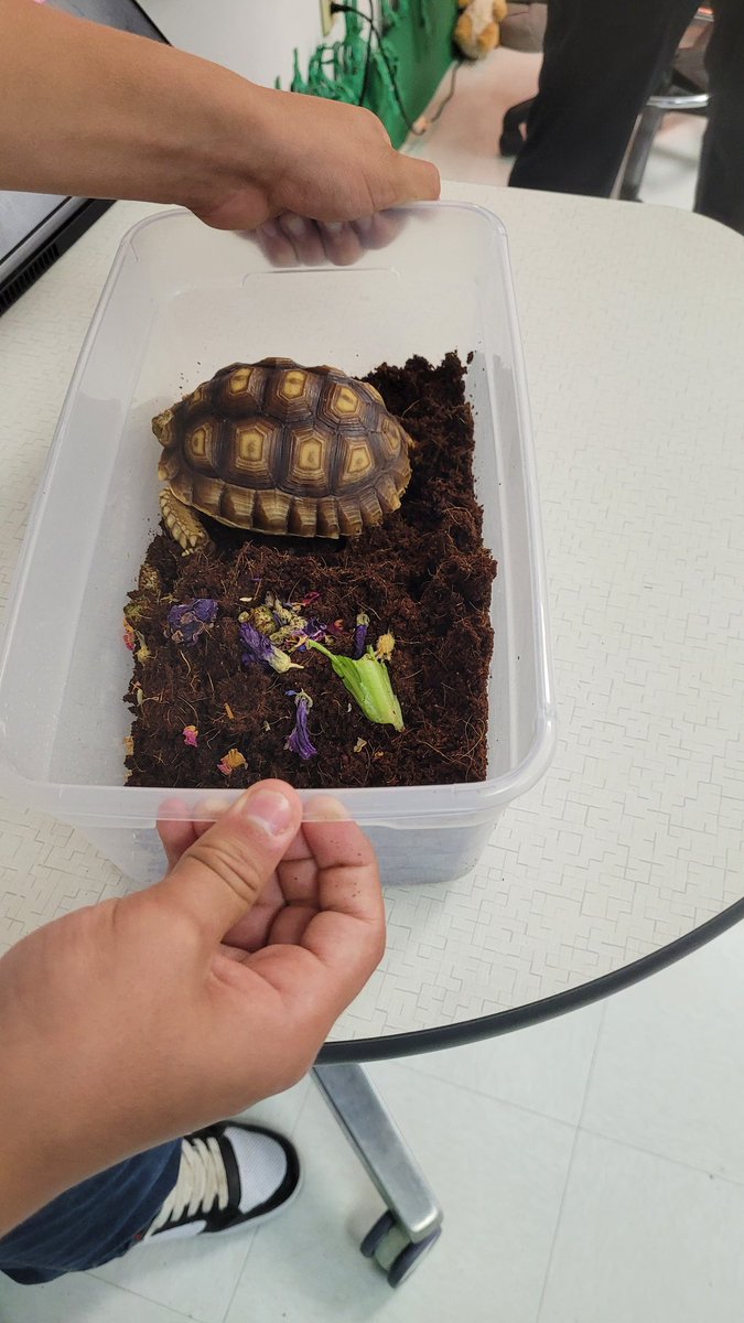 April Morrison tweet media