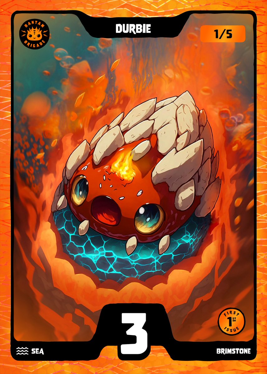 Barefoot Republic tweet media