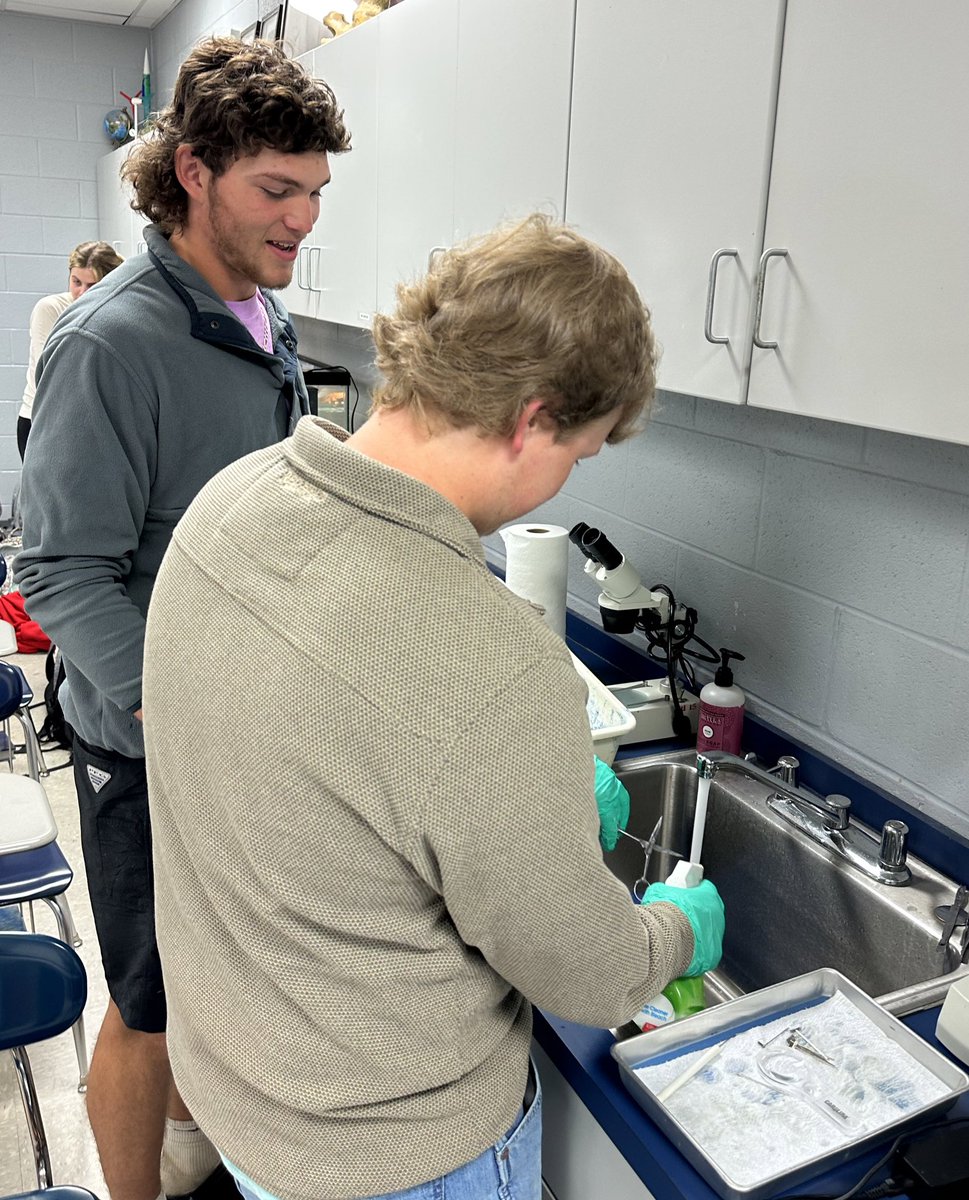 sum_king83's tweet photo. 2nd block shark dissections went well today!  Next week we will dissect minks for the first time. #chordates #dogfishsharks @TheBurgScience @PatriotVision https://t.co/8vxCKUWZBR