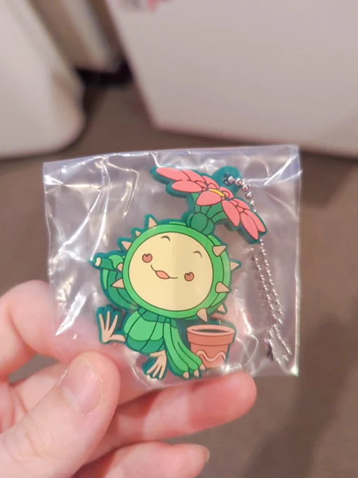 サボテンくん!!!!