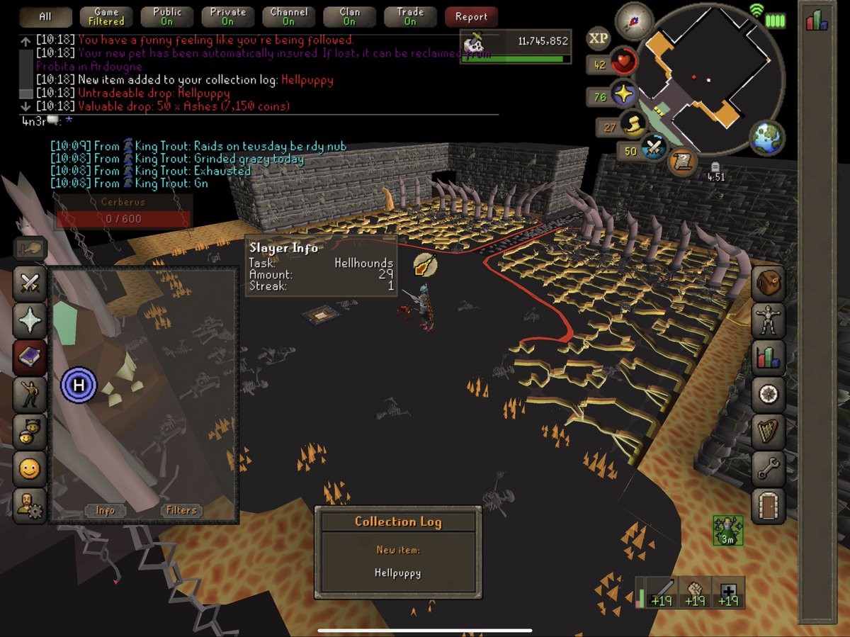 2637 kc 😎💨 on fire this week