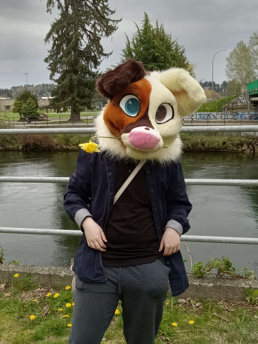 Lenny / Crook (@raccoonntails) / Posts / X