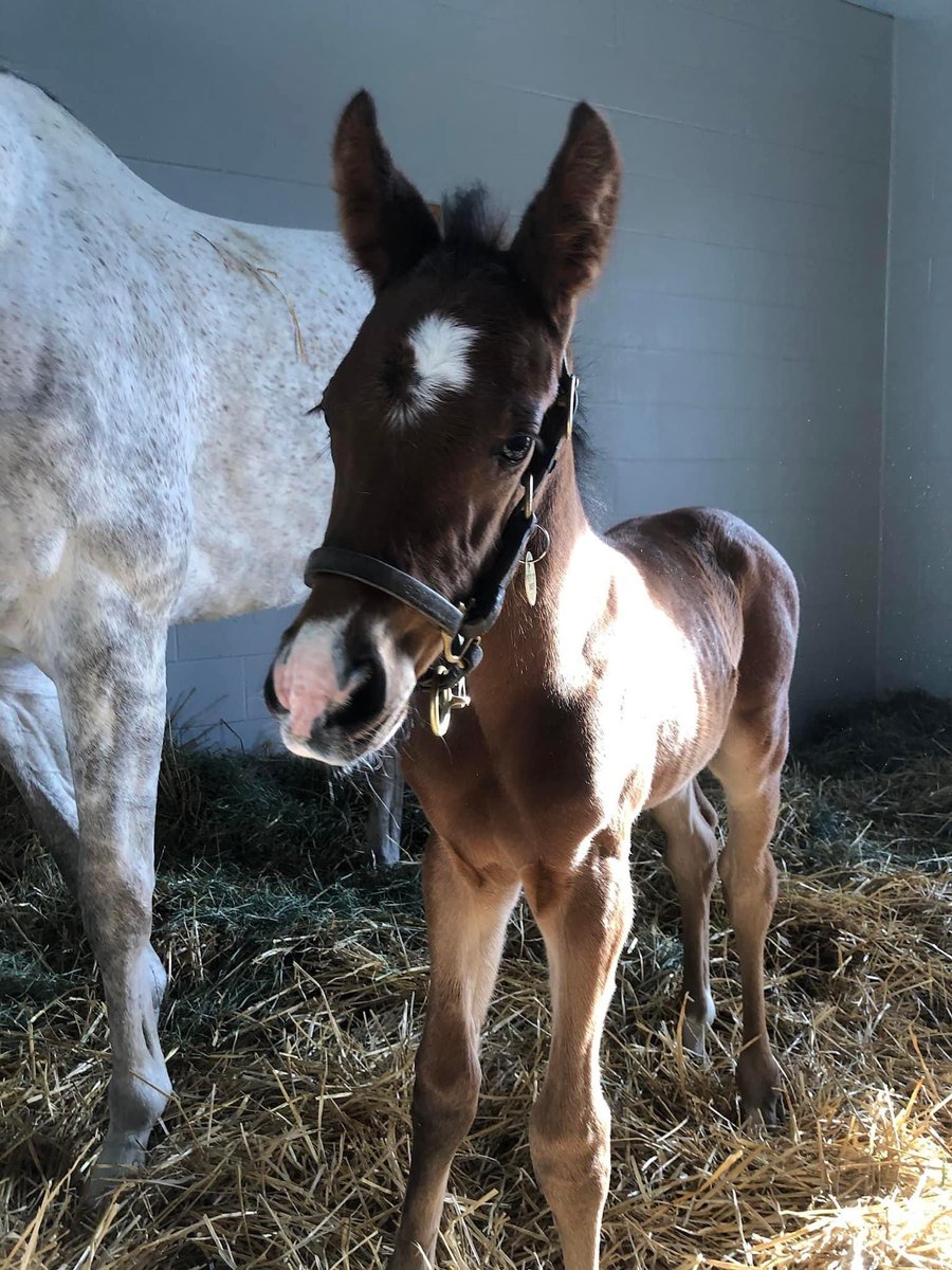 Leah Vasquez tweet media