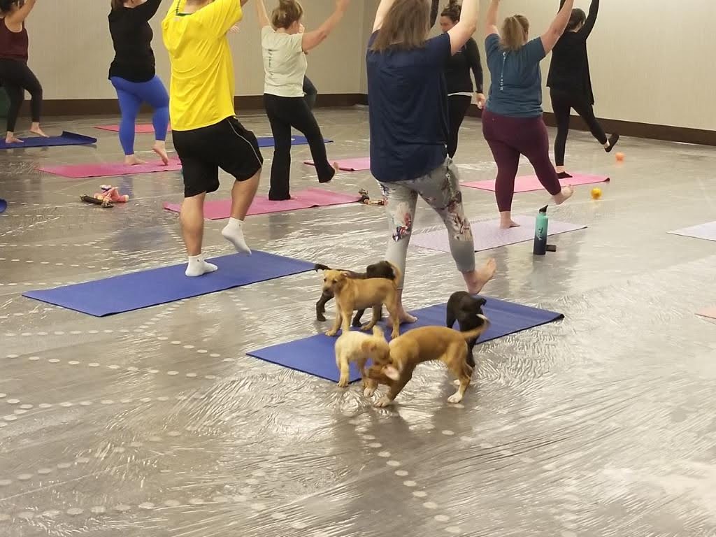 lifeengineerco's tweet image. Rusty was #2(!!!) on the list of the Top 5 Experiences of the whole conference. We enjoyed great sessions, puppy yoga, and all the things, but Rusty and what he had to teach about solving for energy was a huge highlight. #WFSVision23 #energy #employeeengagement #lifeengineering