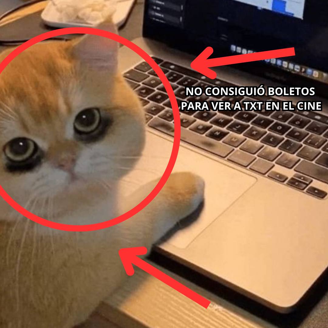 ccmoamx's tweet photo. soy ese https://t.co/awsivv7ktb