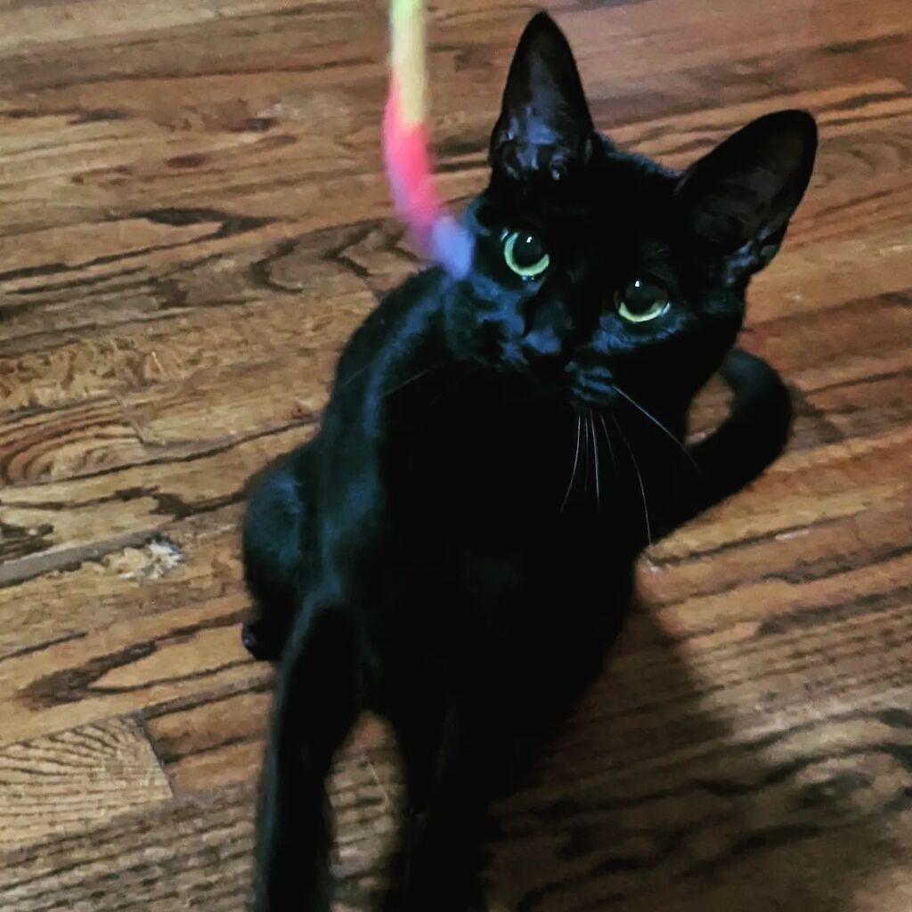 instagr.am/p/Cr4KmbmJDro/