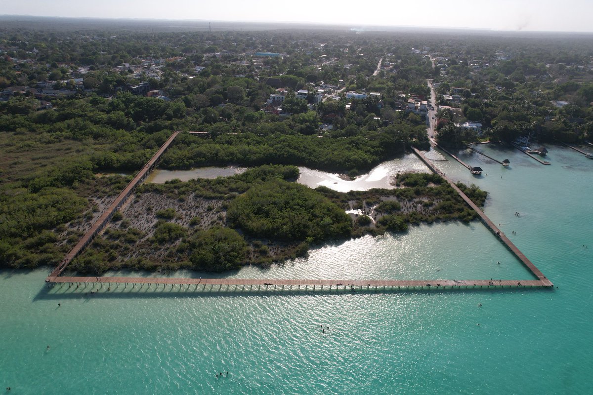 MeyerFalcon's tweet photo. Estamos en Bacalar. Les cuento del nuevo acceso público a la laguna que la @SEDATU_mx construyó. El ecoparque es ahora un recorrido educativo ambiental de 1km.

Acompañamos la gira del @TrenMayaMX de este fin de semana del presidente @lopezobrador_. #BacalarLate 🦎 https://t.co/VTr18UEEOK