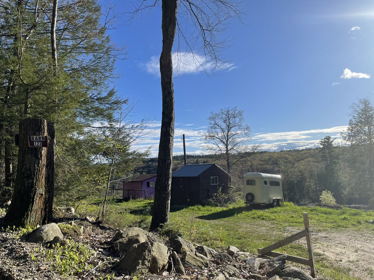 ladytforce's tweet image. 4 miles at Happy Hour, felt lovely. Broke in the new gear. 

Soundtrack: Frightened Rabbit “Pedestrian Verse 10th Anniversary” reissue 

#runningpunks #frabbit