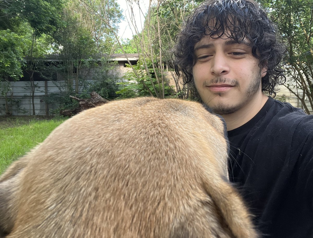 CHI (@chimobilex) on Twitter photo 