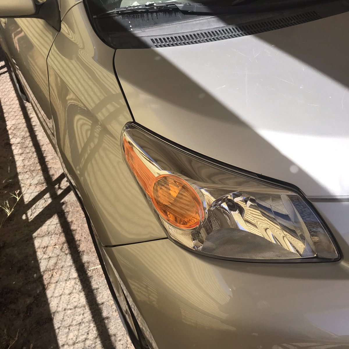 My sweet shiny baby is home!! Thank you to everyone who helped me out.