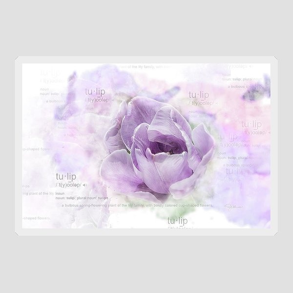 Tulip Sticker by Pamela Williams 
Get it: 3-pamela-williams.pixels.com/featured/10947…

#dailysticker #stickers #stickerlover #Buyintoart #shopearly #sharepamsart #art #tulip #flower #watercolor #purple #lavender #giftideas #artonline #shopsmall